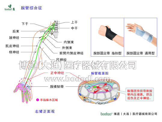 腕關(guān)節(jié)的常見(jiàn)疾病與健康防護(hù)