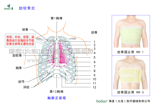 胸肋部常見(jiàn)疾病與健康護(hù)理