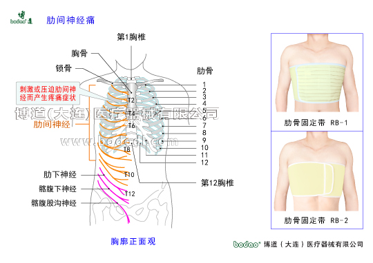 胸肋部常見(jiàn)疾病與健康護(hù)理