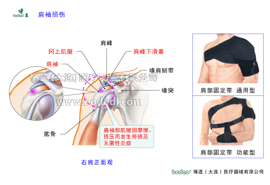 肩關(guān)節(jié)的常見疾病與健康防護(hù)