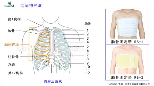 脊椎部疾病與健康護(hù)理