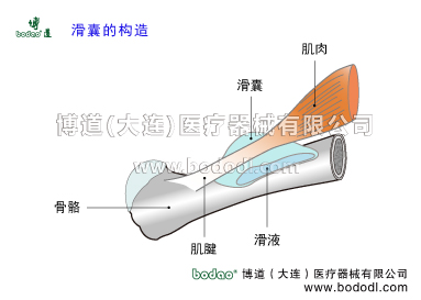 膝關(guān)節(jié)滑囊炎博道醫(yī)用護(hù)膝關(guān)節(jié)固定帶膝關(guān)節(jié)周圍滑囊炎滑囊的構(gòu)造與作用。膝關(guān)節(jié)有多少個(gè)滑囊髕上囊腘肌囊腓腸肌內(nèi)側(cè)囊髕前囊髕下淺囊髕下深囊股二頭肌腱與腓側(cè)副韌帶和腓骨頭間滑囊腓側(cè)副韌帶與腘肌腱間滑囊腓腸肌外側(cè)囊鵝足囊半膜肌囊半膜肌固有囊半膜肌半腱肌囊半膜肌與腓側(cè)副韌帶囊髕前滑囊炎髕下深滑囊炎鵝足滑囊炎腘窩滑囊炎膝關(guān)節(jié)滑囊炎專用加壓固定帶，膝關(guān)節(jié)固有滑囊，鵝足腱肌腱炎的癥狀與治療，透氣性加壓護(hù)膝保暖矯形加壓