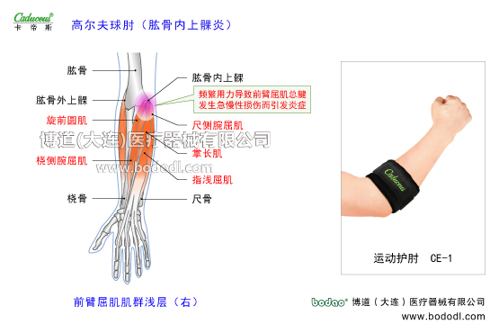 肘關(guān)節(jié)的運(yùn)動(dòng)損傷與防護(hù)