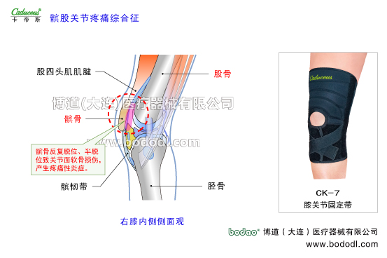 膝關(guān)節(jié)的運動損傷與防護(hù)