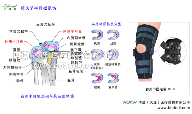膝關(guān)節(jié)的運動損傷與防護(hù)