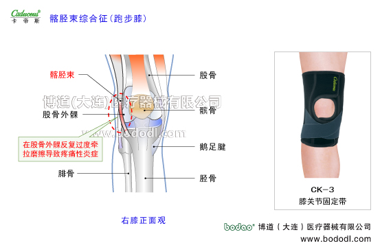 膝關(guān)節(jié)的運動損傷與防護(hù)