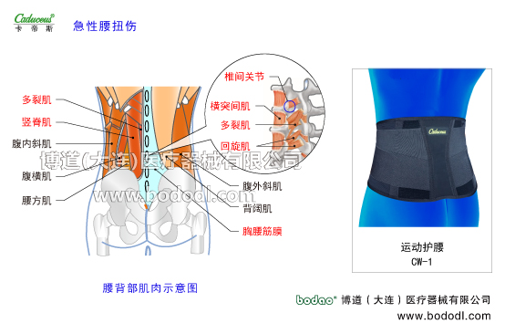 腰椎部的運動損傷與防護
