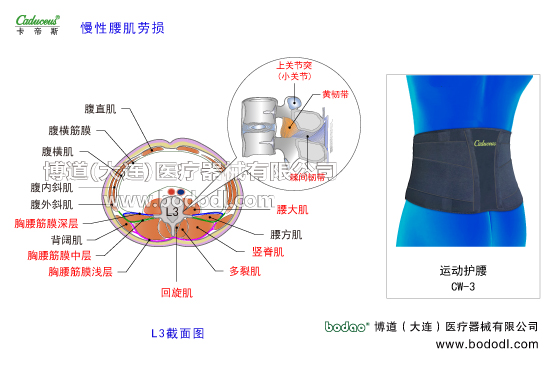 腰椎部的運動損傷與防護
