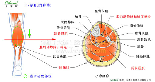 肌肉痙攣與加壓防護(hù)