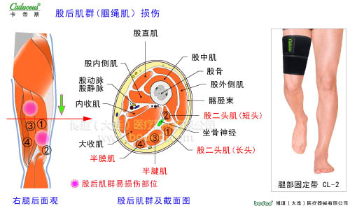 肌肉損傷與運動防護