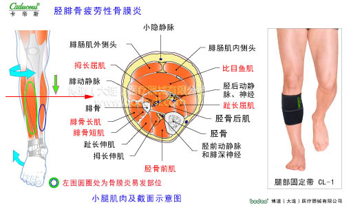肌肉損傷與運動防護