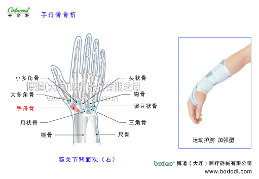 腕關(guān)節(jié)的運(yùn)動(dòng)損傷與防護(hù)
