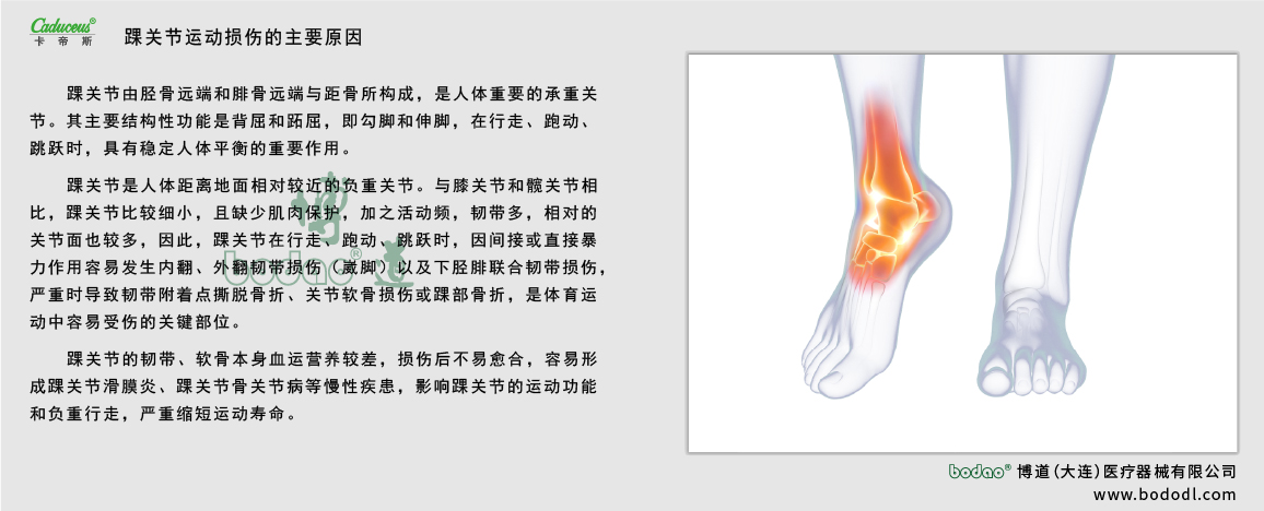踝關(guān)節(jié)的運(yùn)動損傷