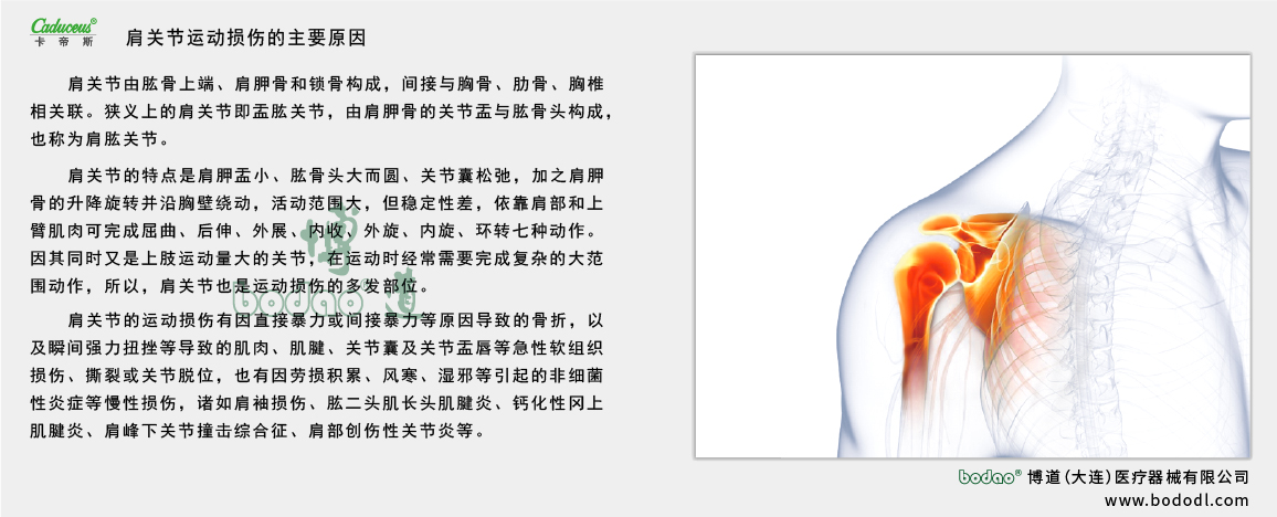 肩關(guān)節(jié)的運動損傷