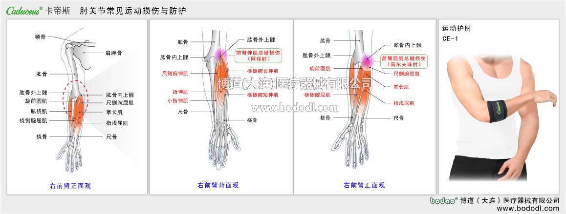COMMON DISEASES OF ELBOW JOINT