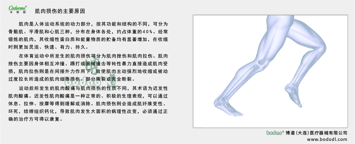 肌肉的運(yùn)動損傷