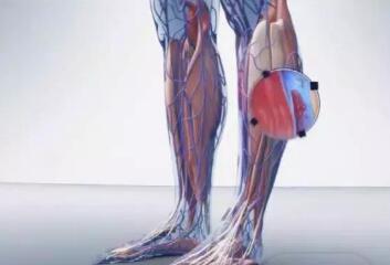 靜脈曲張對(duì)人體有哪些危害？